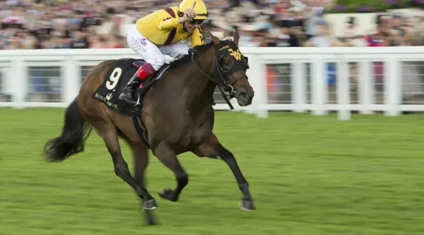 Nunthorpe Stakes Odds, York odds