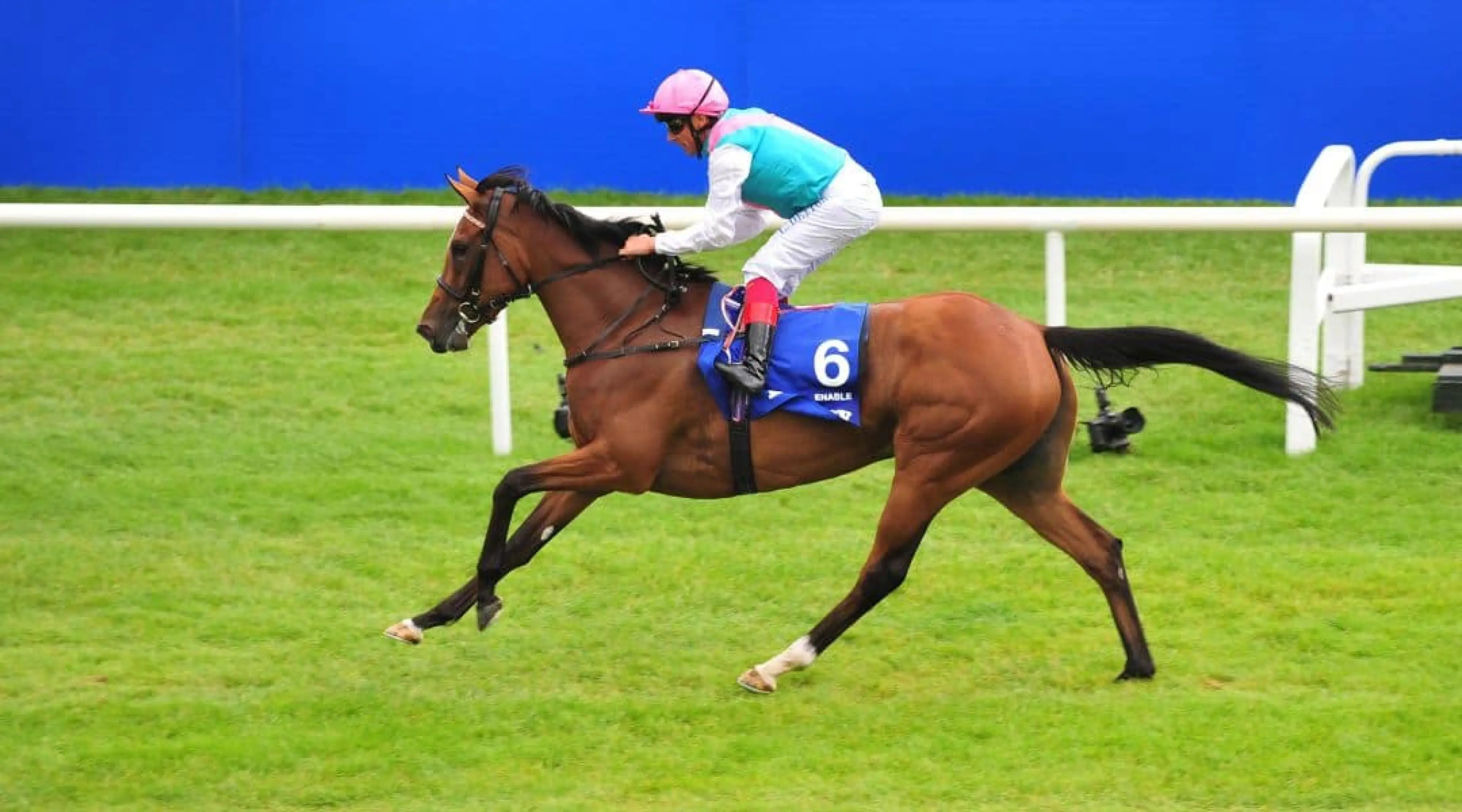 Enable Horse Racing