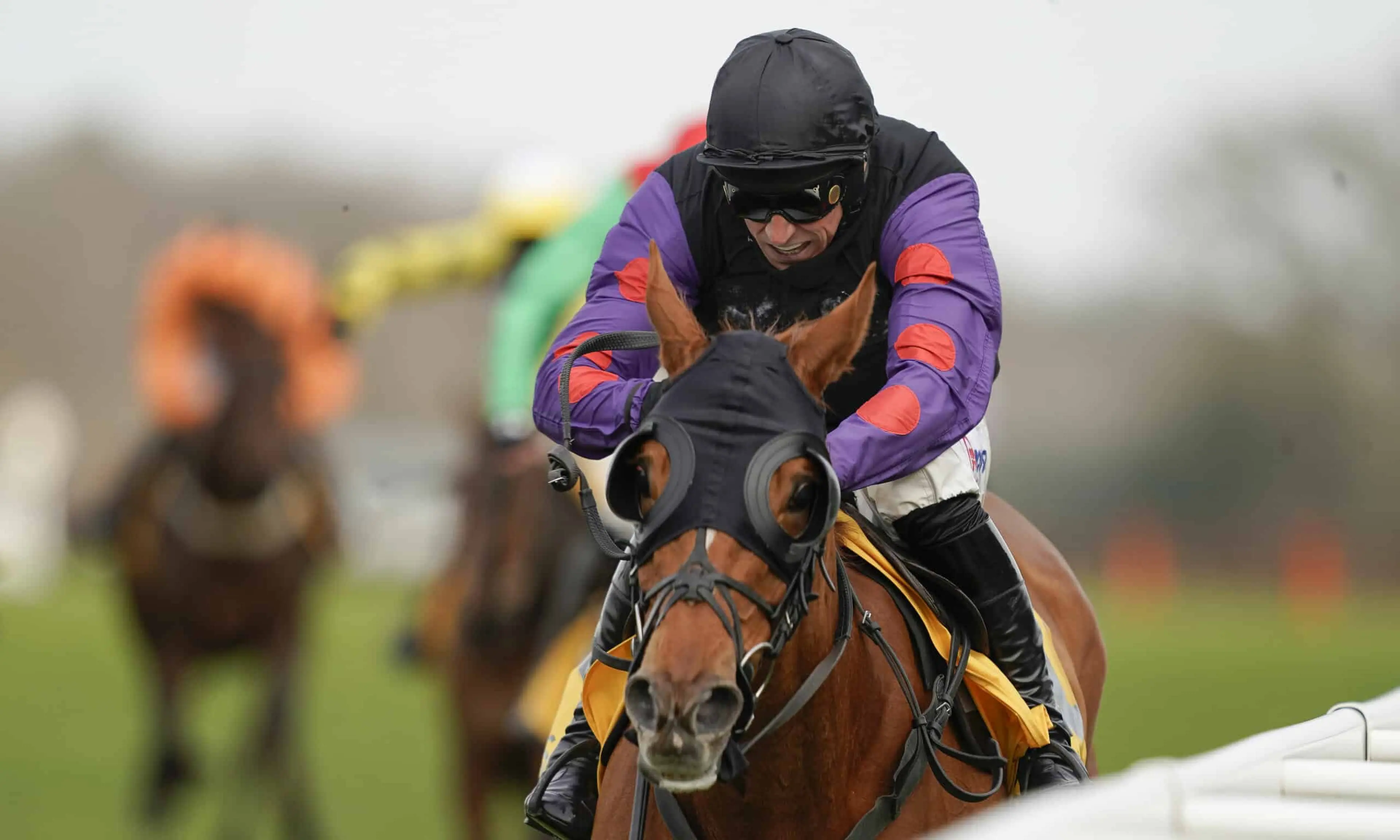 Shannon Bridge, Dan Skelton