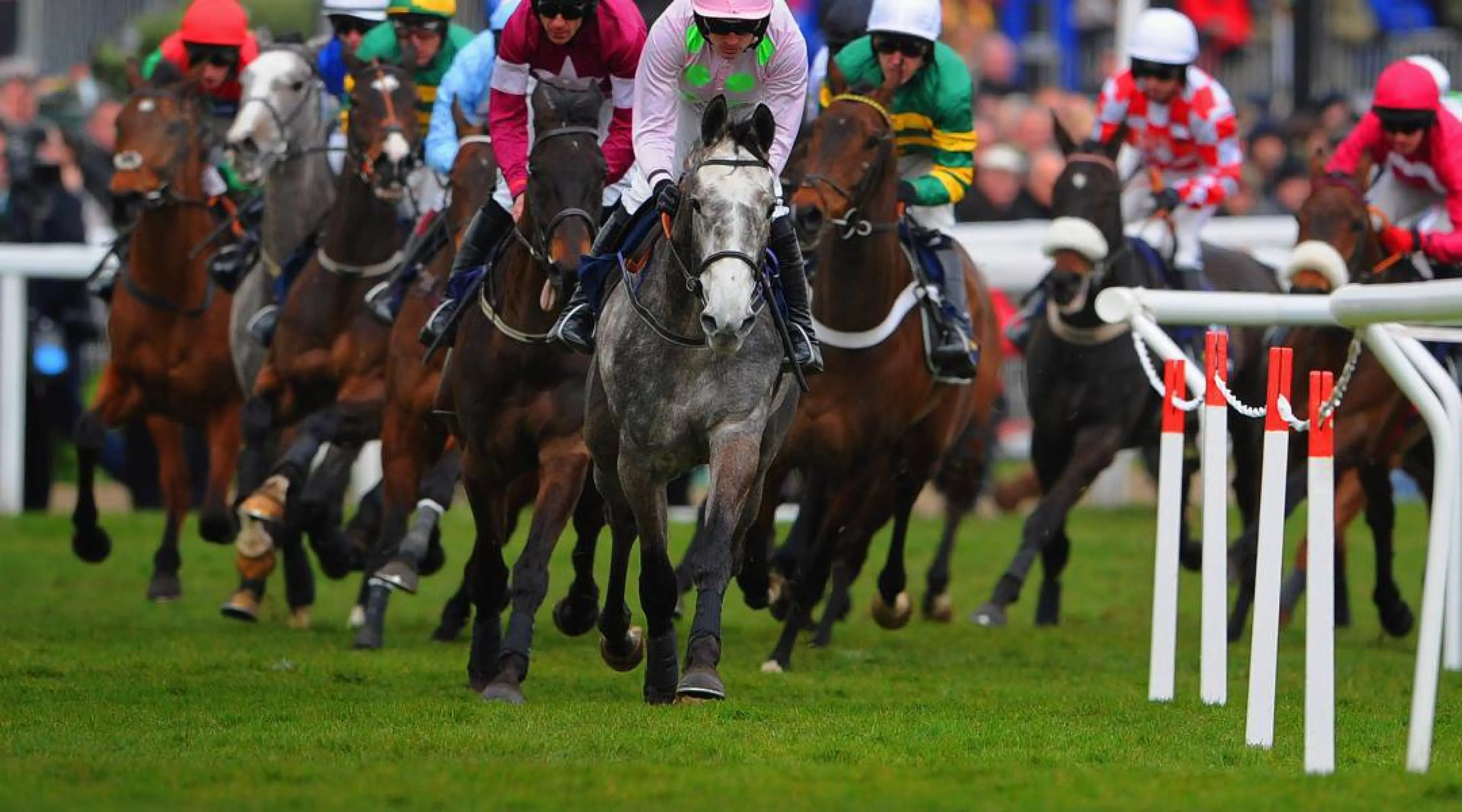 Cheltenham odds, Cheltenham Festival odds, Apple's Shakira odds