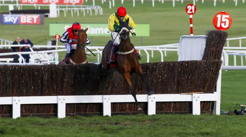 Fox Norton - Aintree odds
