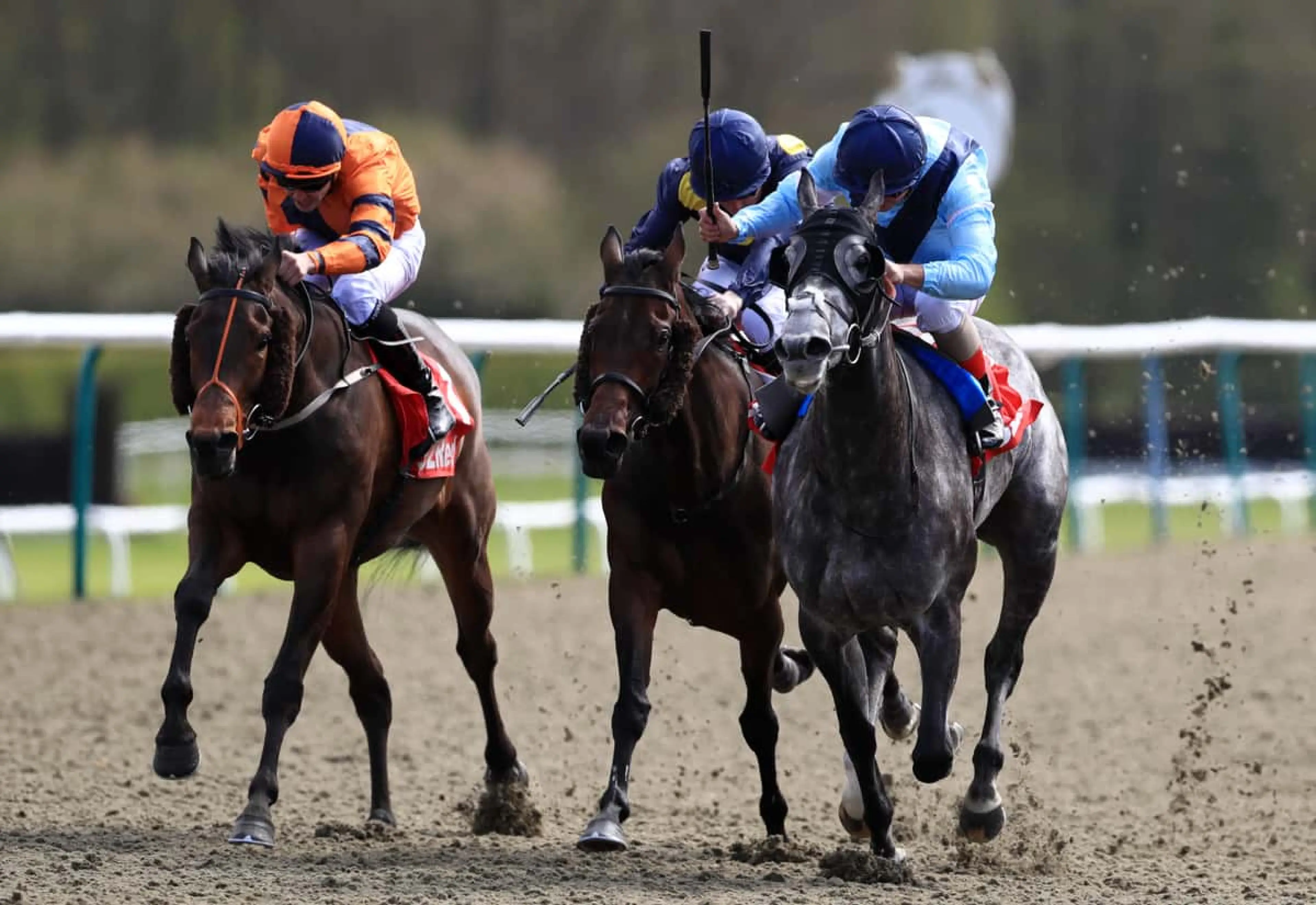 Lingfield racecourse