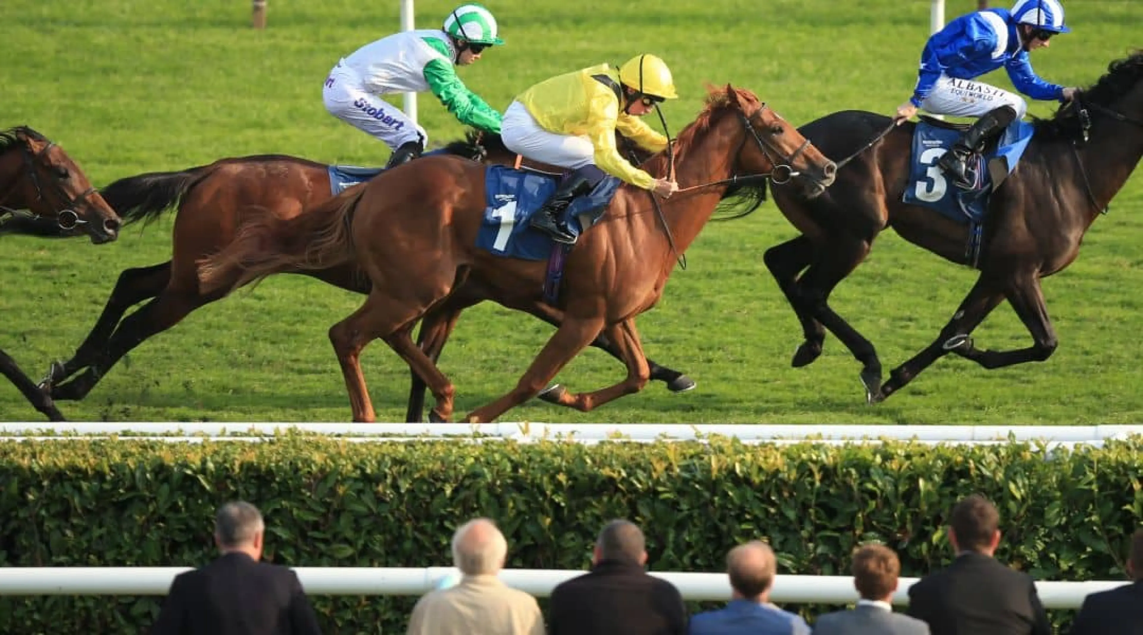 St Leger odds, St Leger Festival odds,