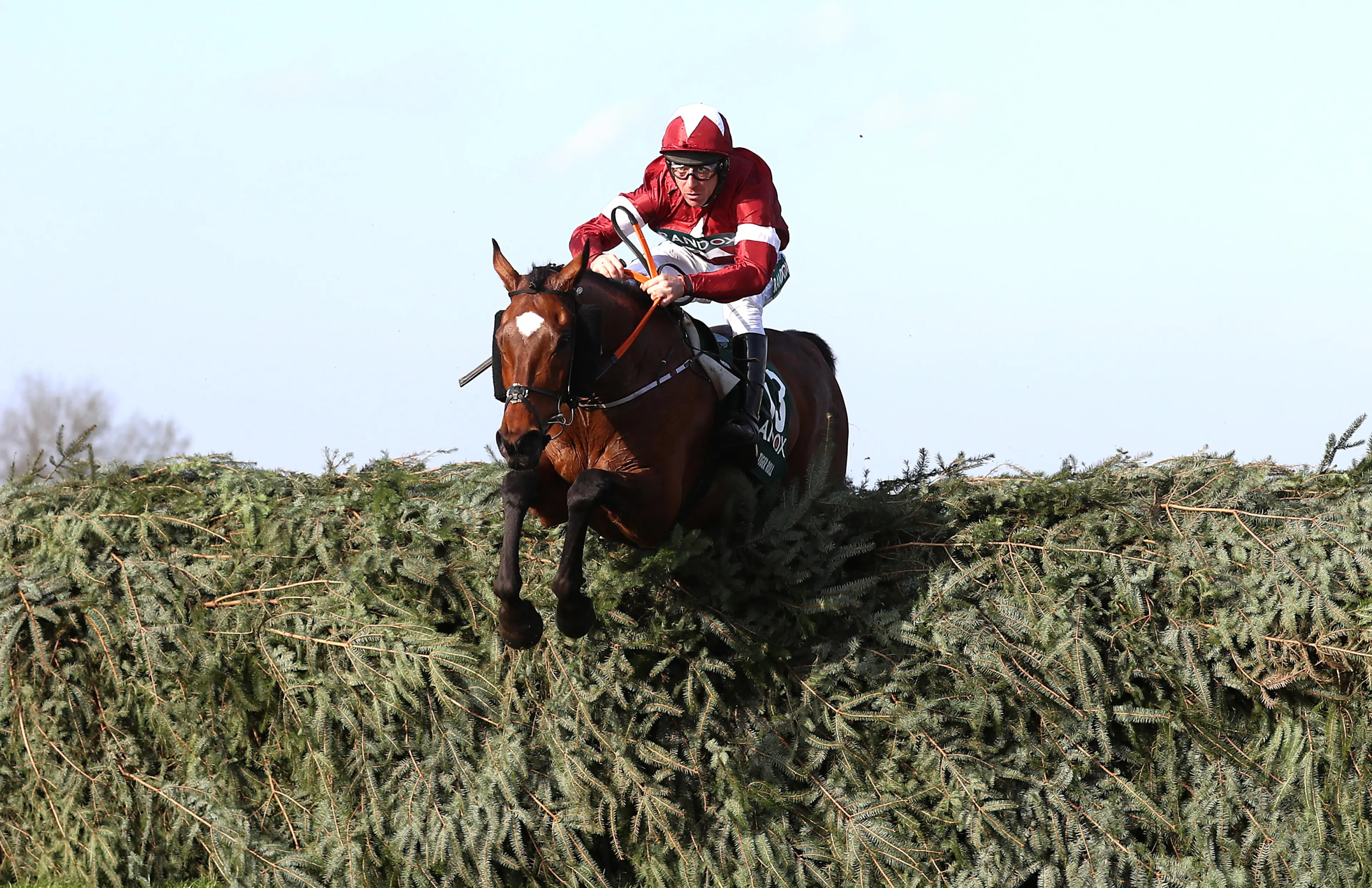 Tiger Roll ridden by Jockey Davy Russell on the way to winning the Randox Health Grand National Handicap Chase during Grand National Day of the 2018 Randox Health Grand National Festival at Aintree Racecourse, Liverpool
