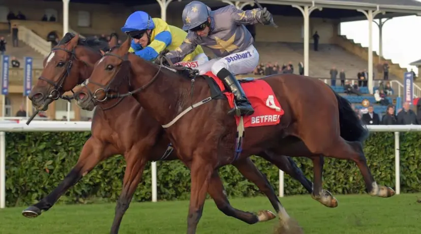 Growl - Duke of York odds