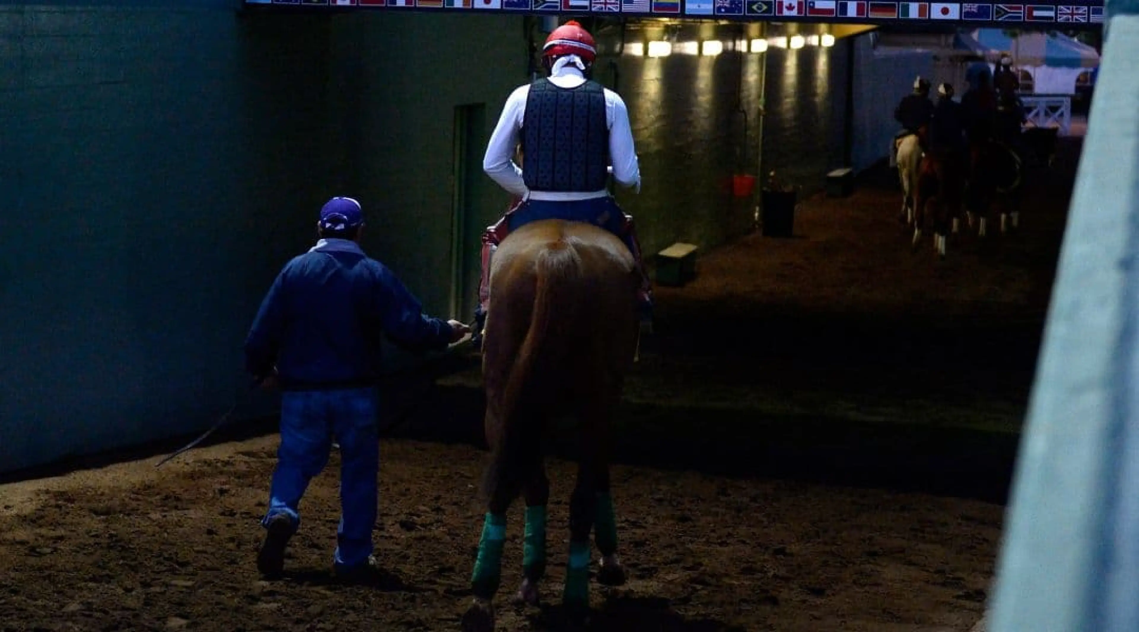 California Chrome - Breeders' Cup