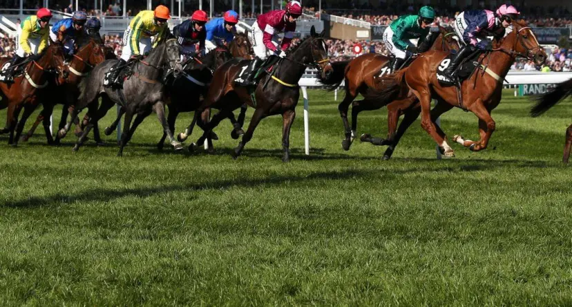 Grand National