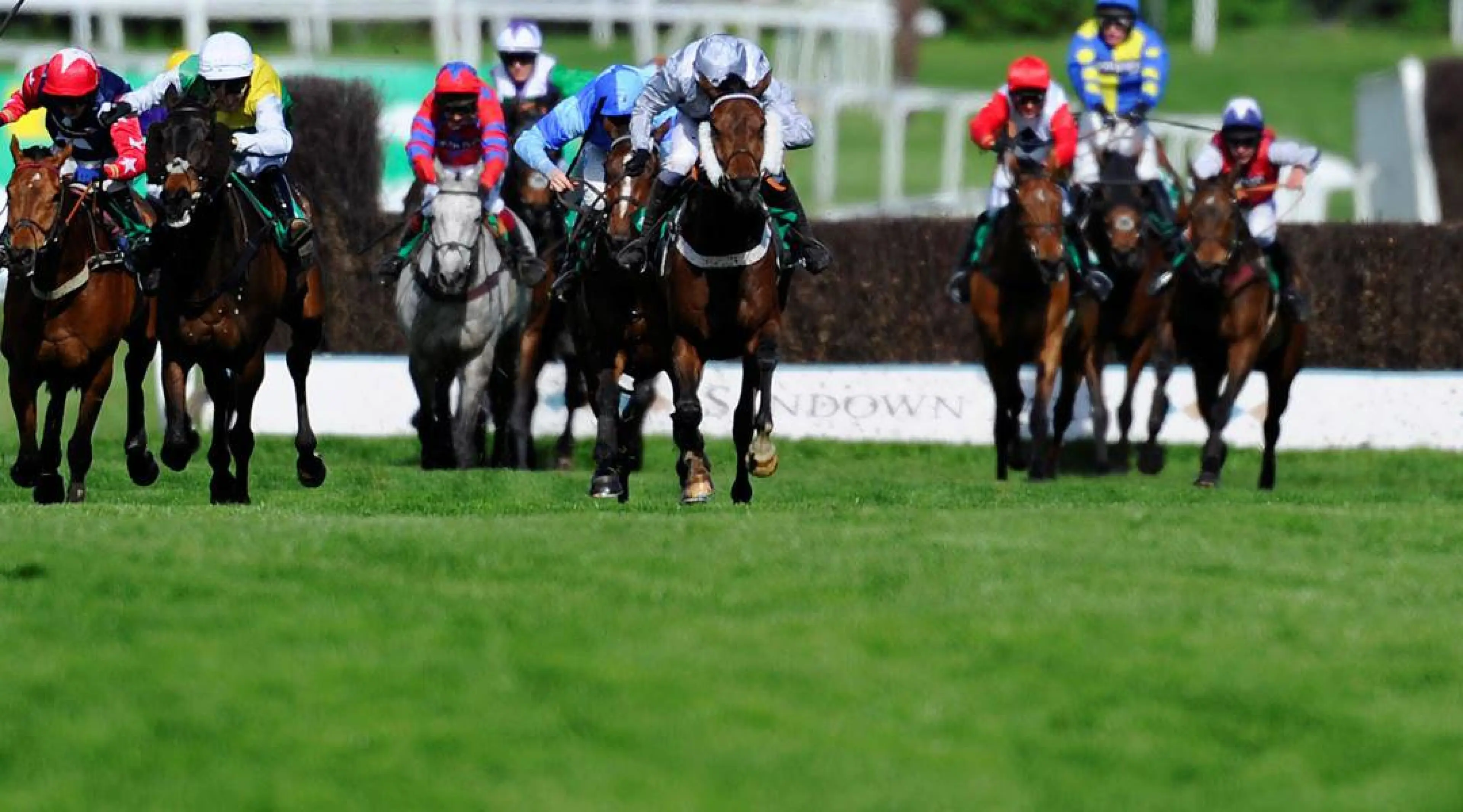 Sandown Racing