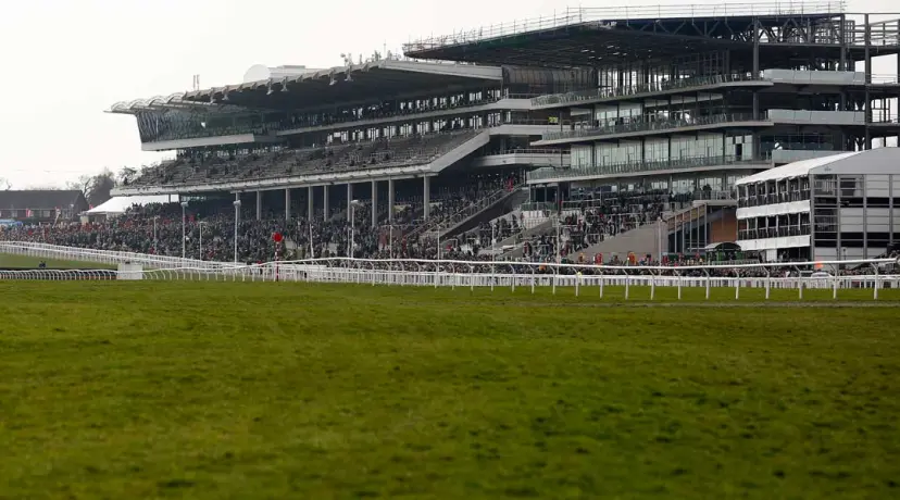 Cheltenham odds, Bryony Frost odds, Cheltenham Festival odds