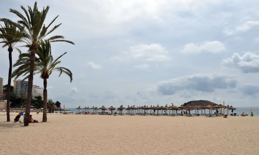 Love Island