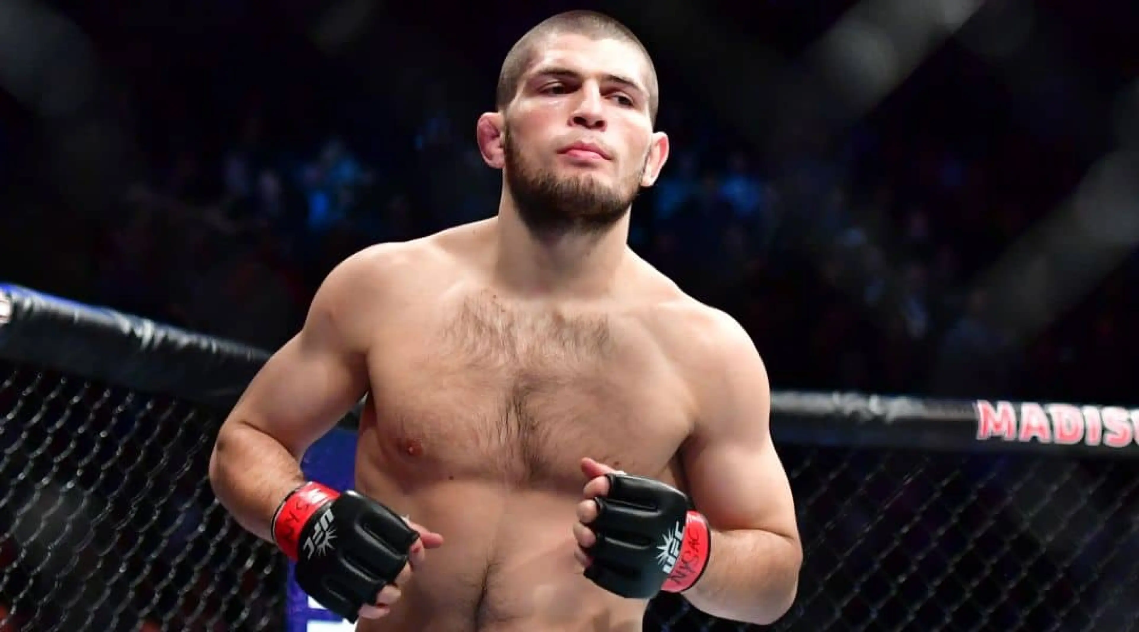 Khabib Nurmagomedov