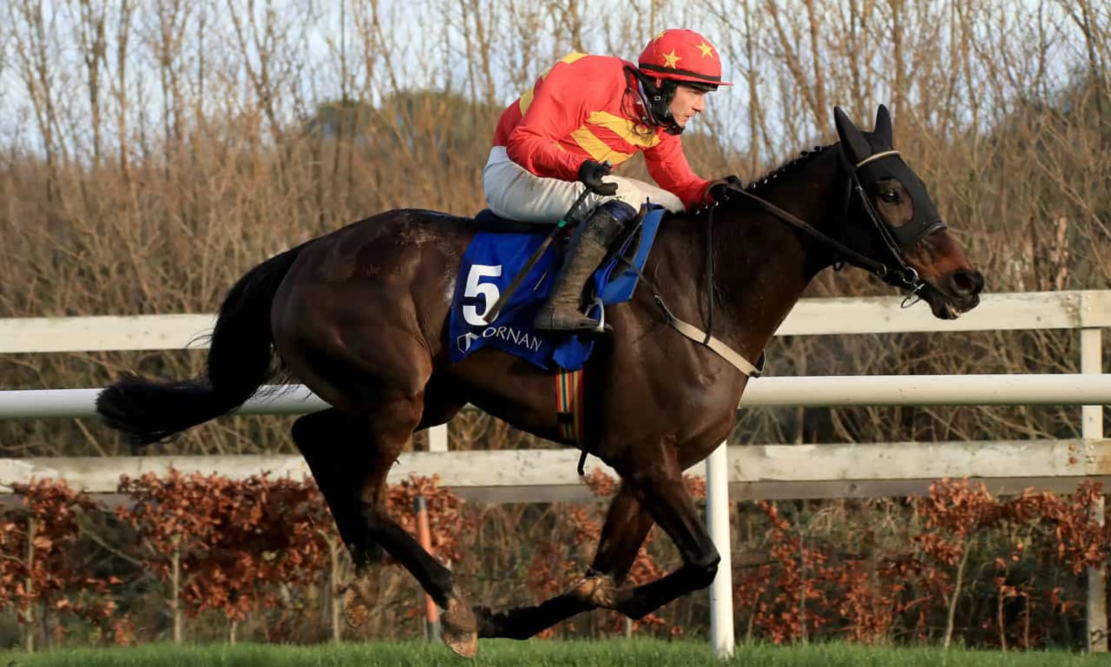 Klassical Dream, Paul Townend