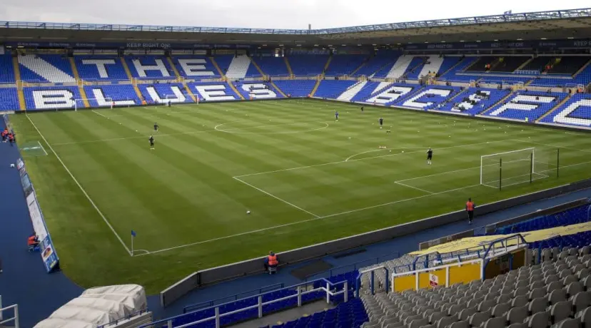 Birmingham next manager