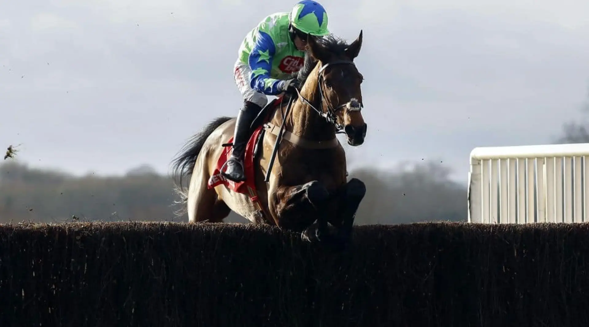 Horse Racing news, Ladbrokes Winter Carnoval odds, Ladbrokes Trophy odds