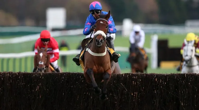 Cue Card