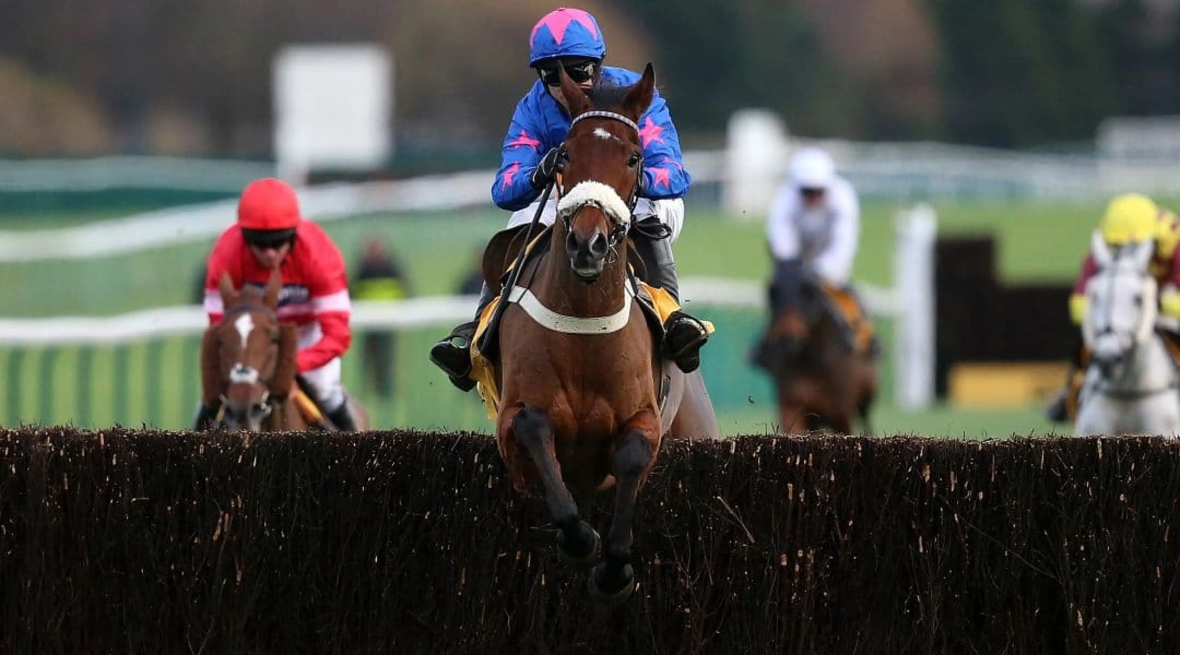 Cue Card