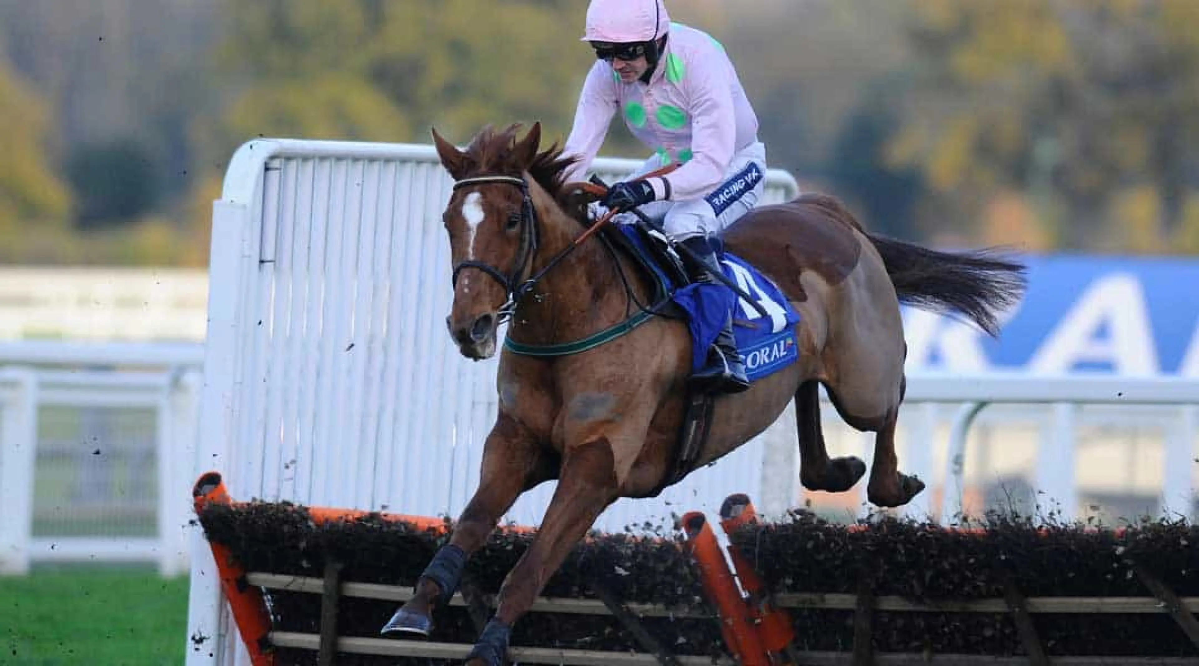 Annie Power Aintree odds