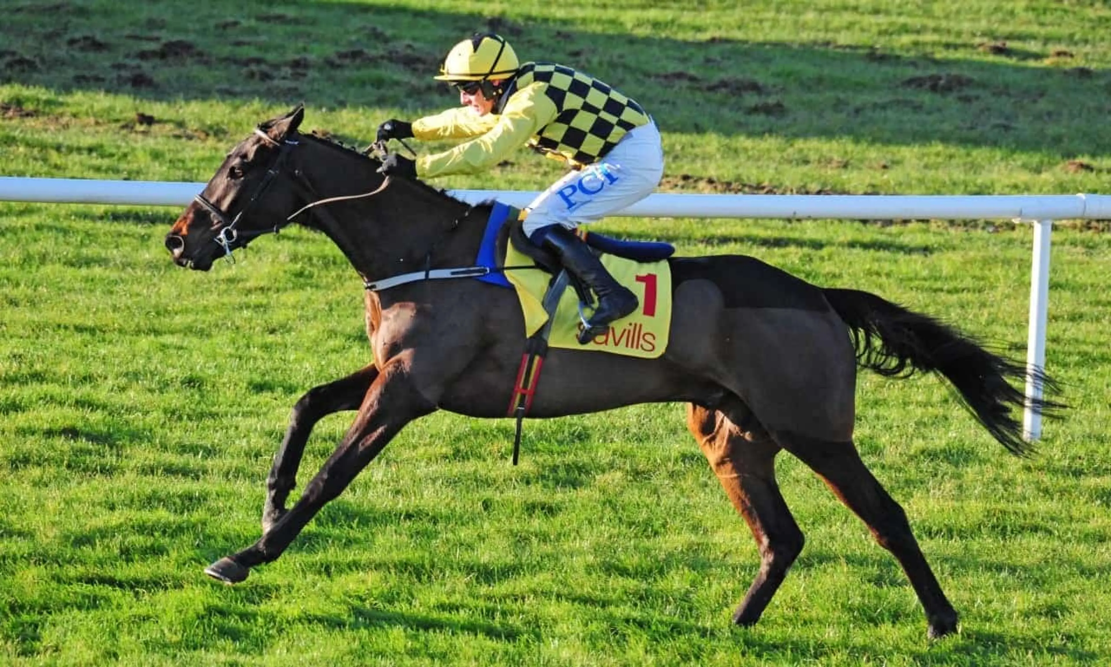 Al Boum Photo Gold Cup