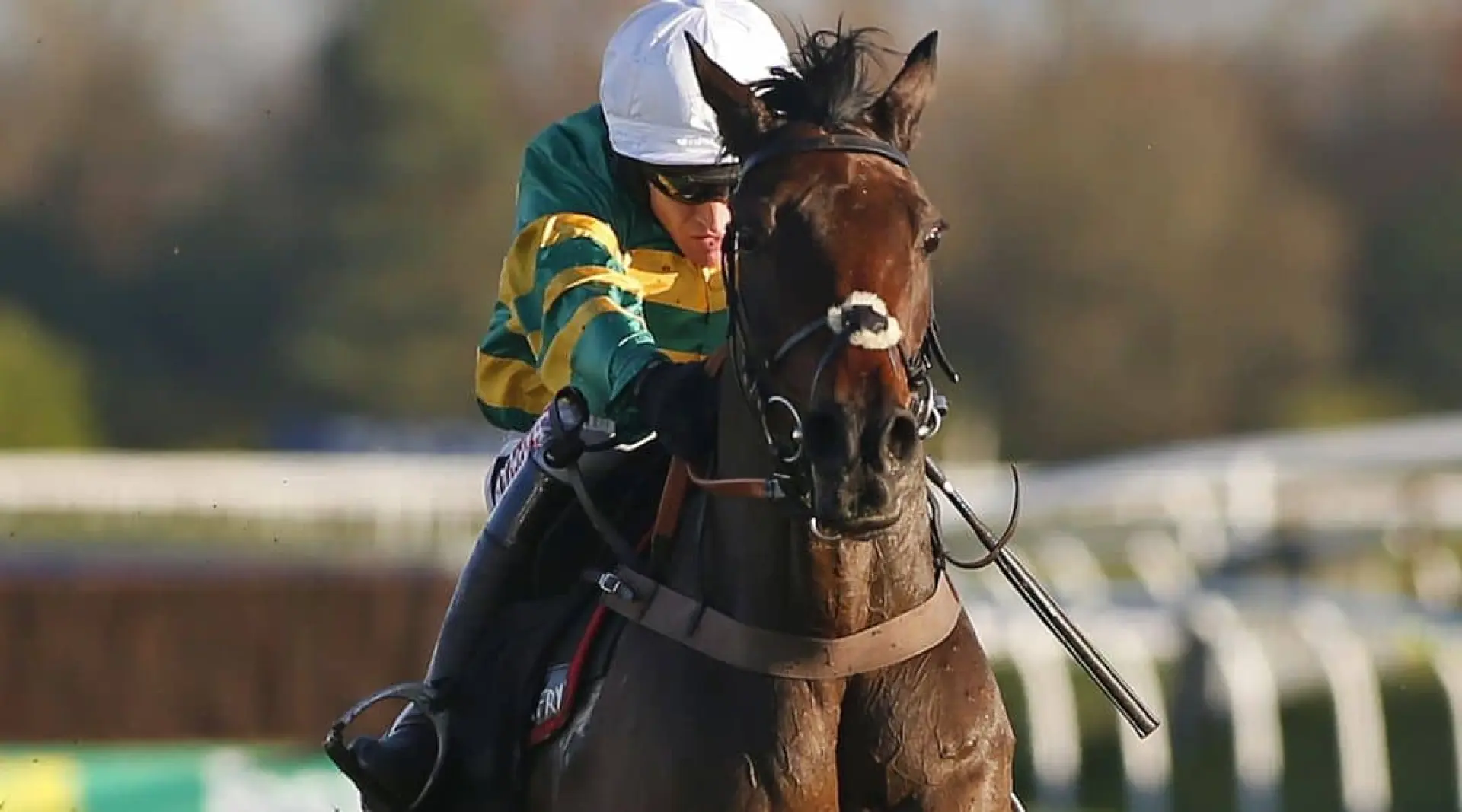 Doncaster horse odds, Wincanton horse odds, horse racing odds