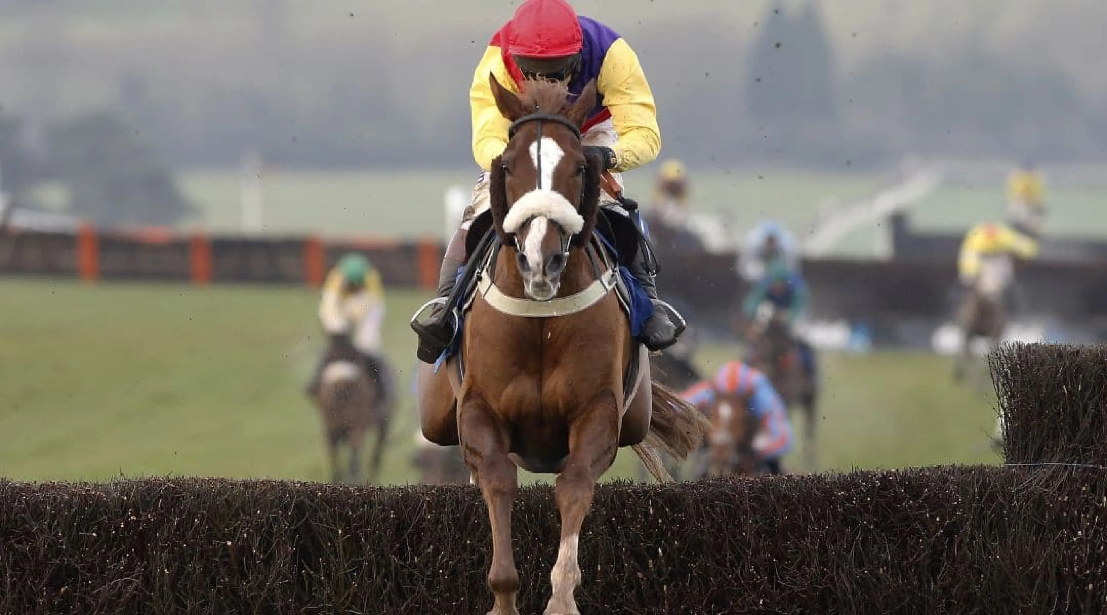 Native River - Denman Chase odds