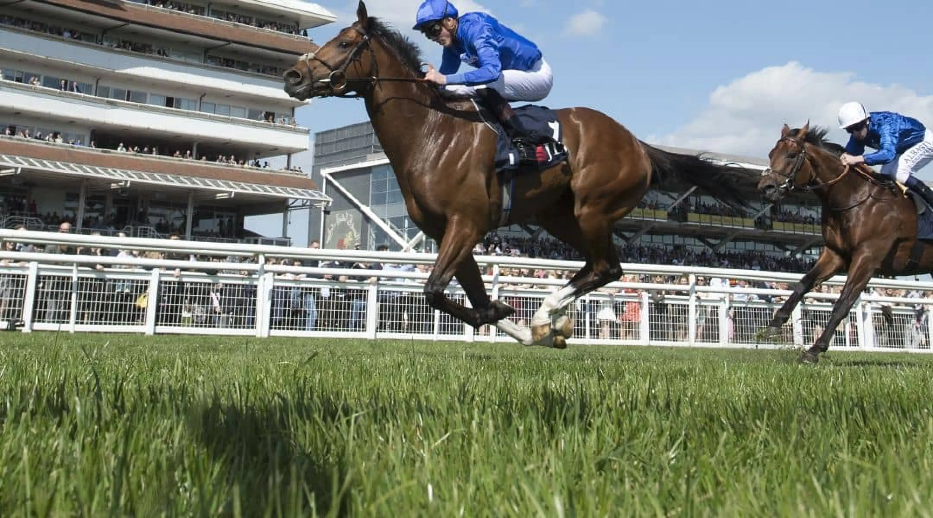 Royal Ascot odds