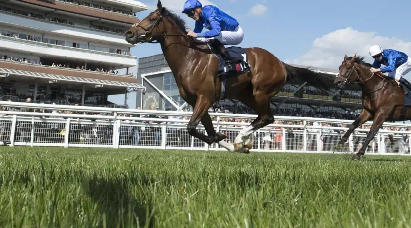 Royal Ascot odds