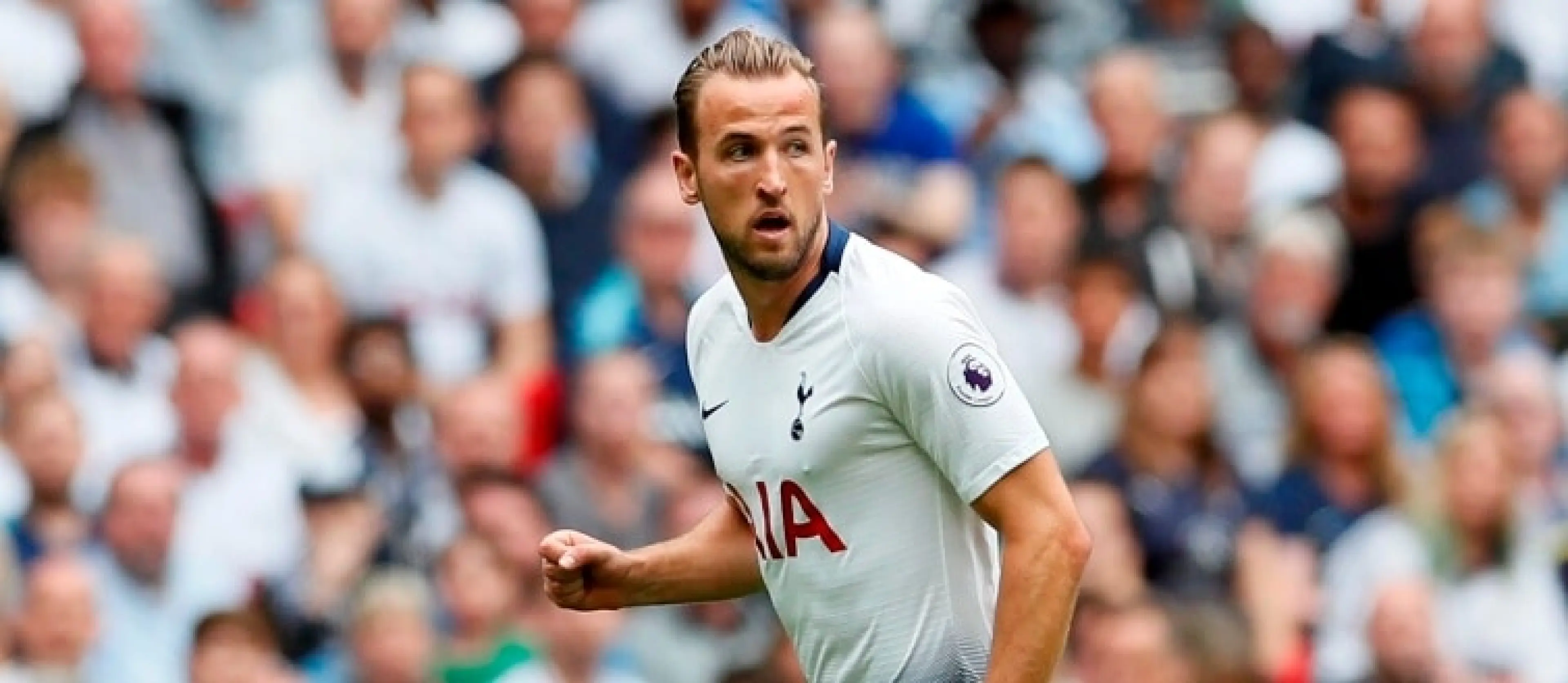 Harry Kane