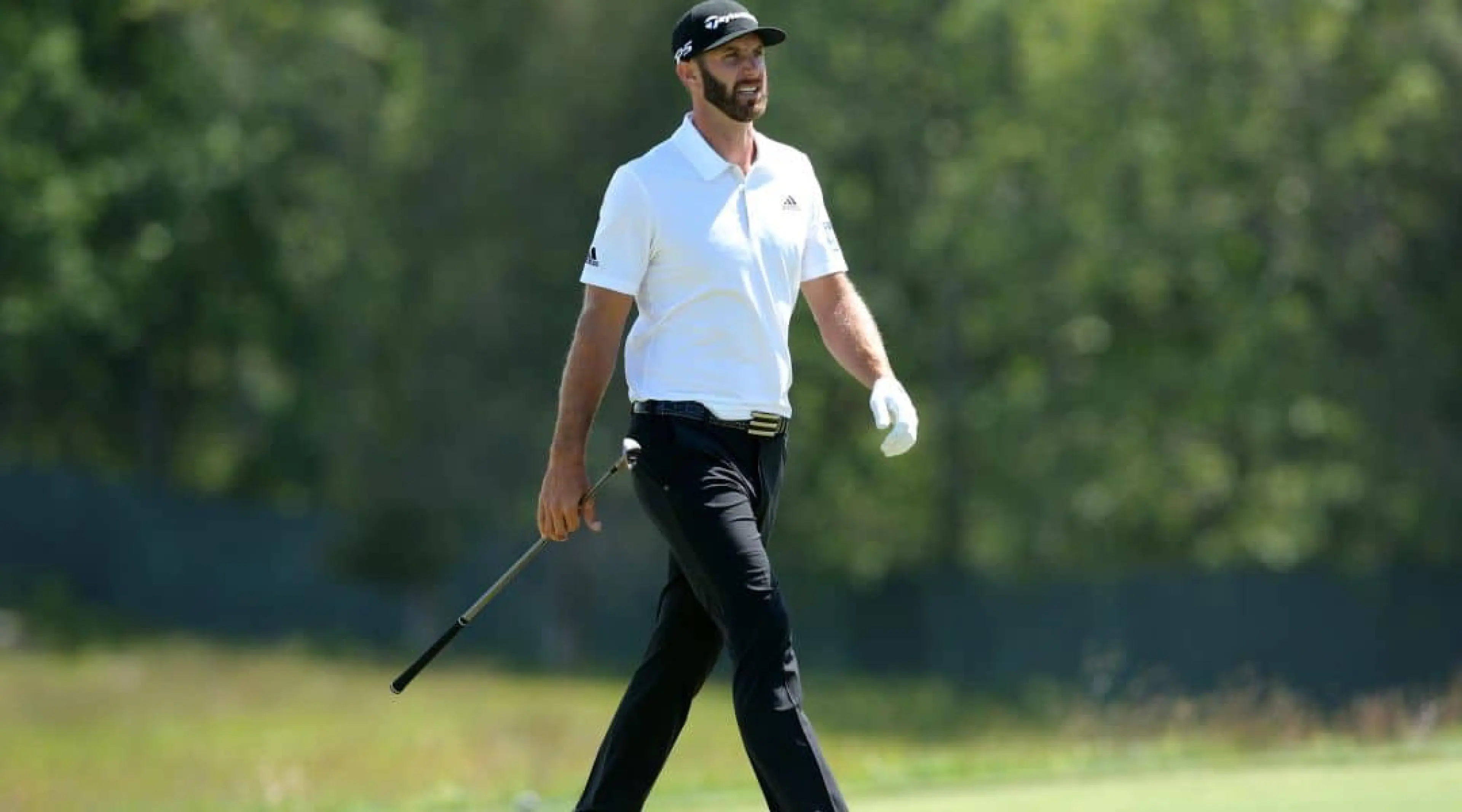 Dustin Johnson