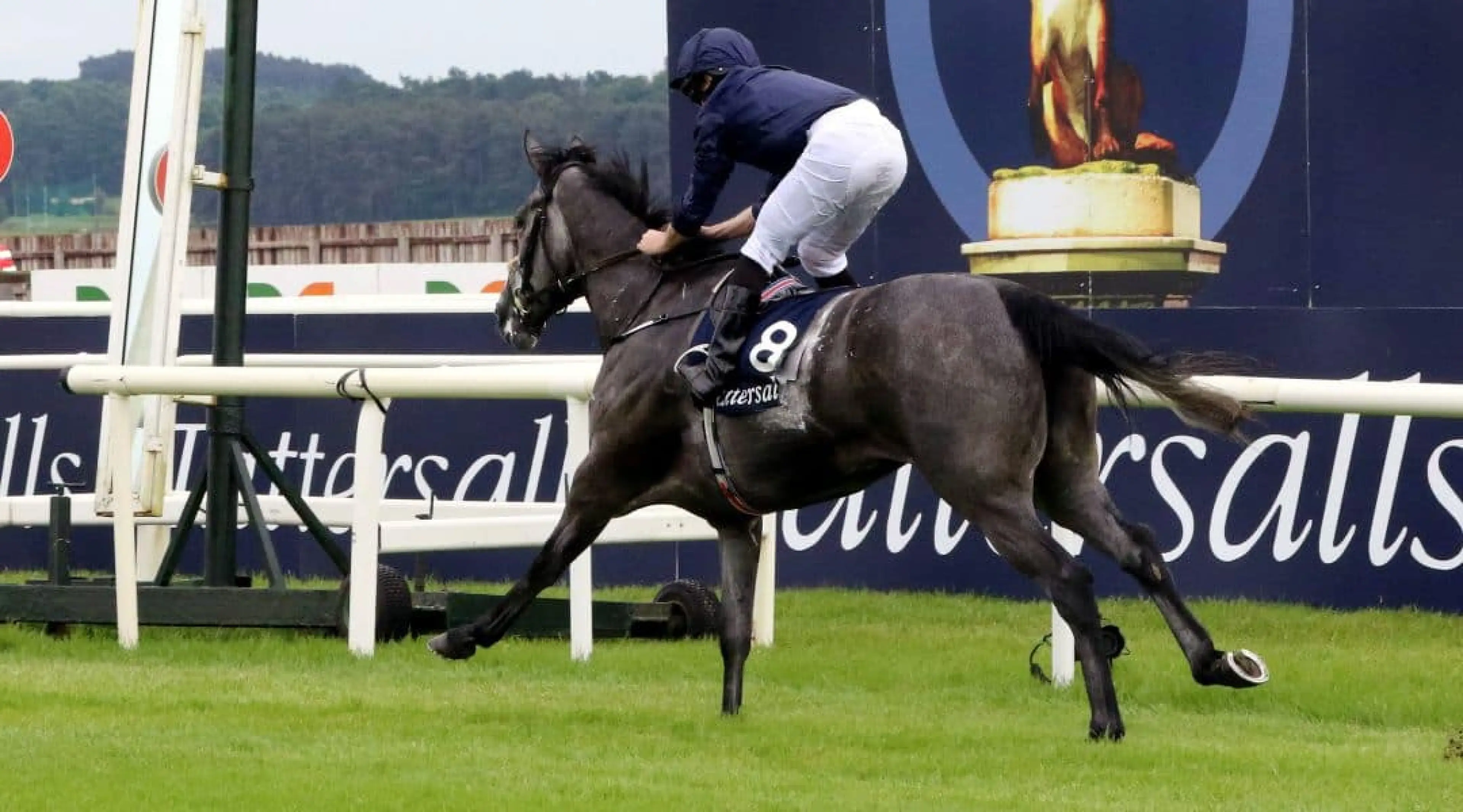 Royal Ascot odds