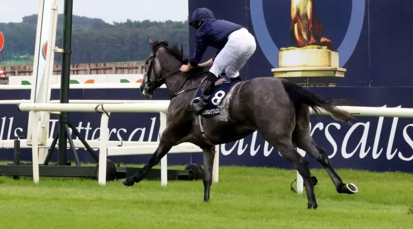 Royal Ascot odds