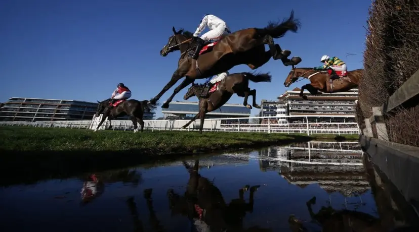 Ladbrokes Trophy odds, American and Total Recall odds, Hennessey Gold CUp odds