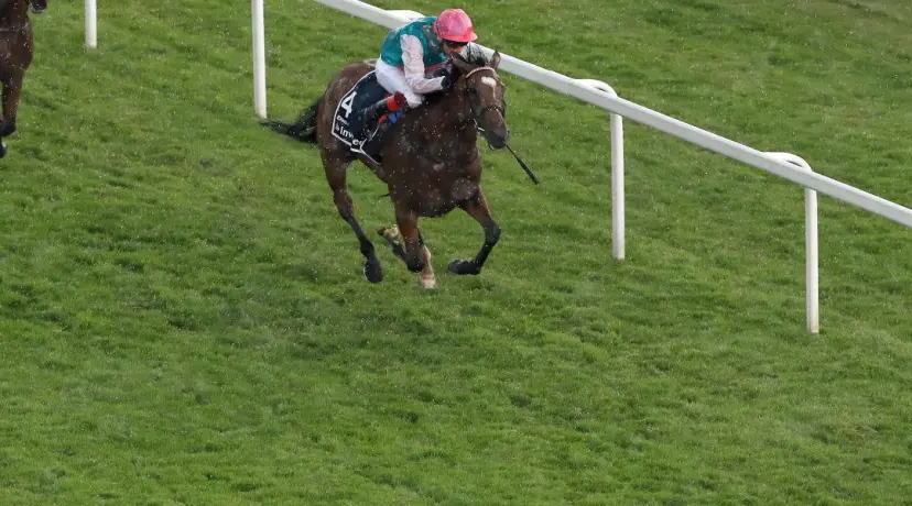 Enable
