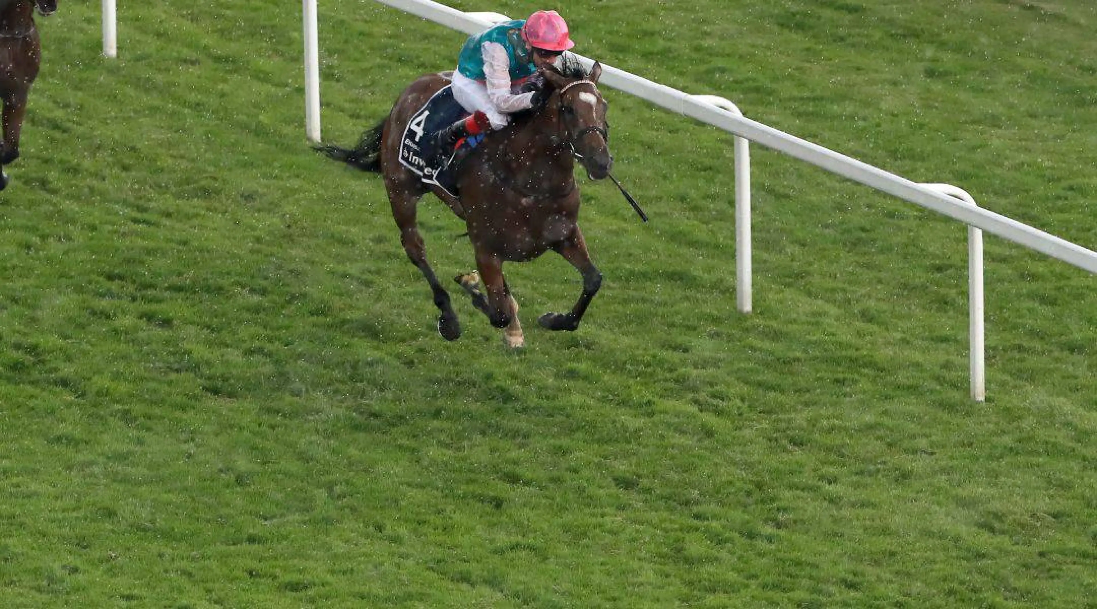 Enable