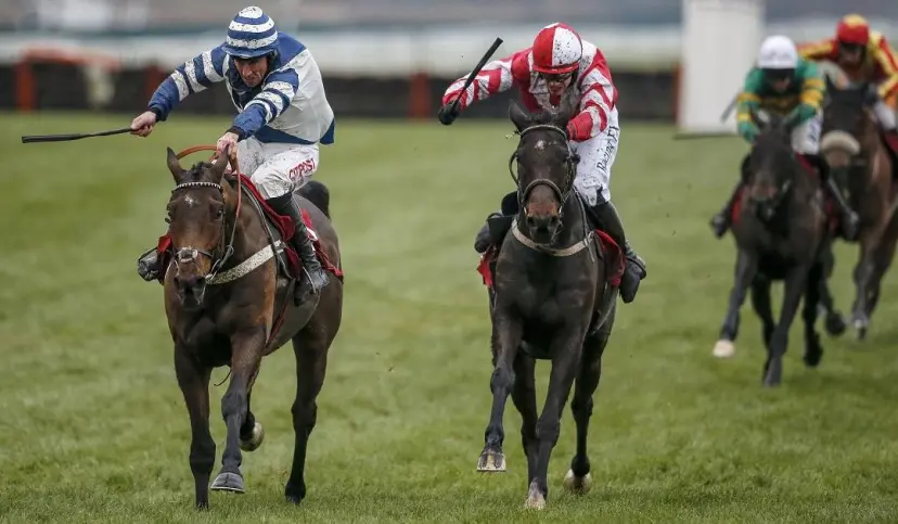 total recall to win grand national
