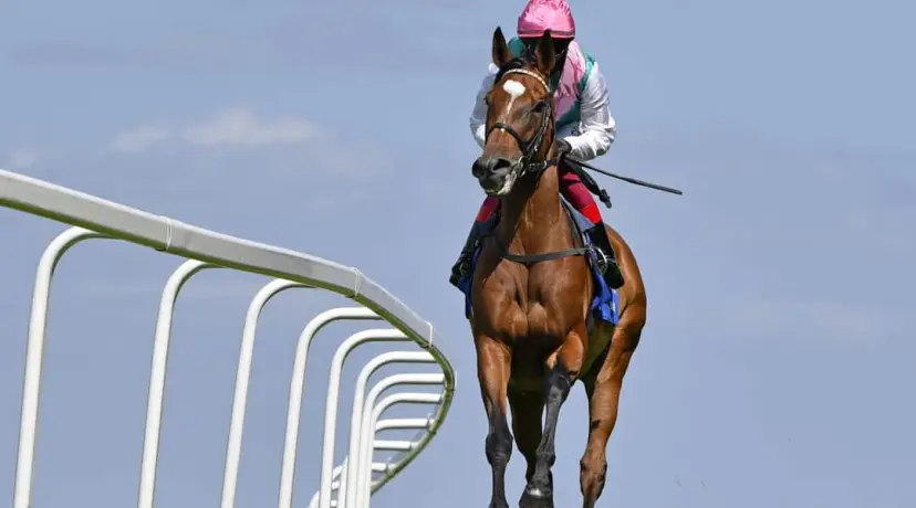 Enable