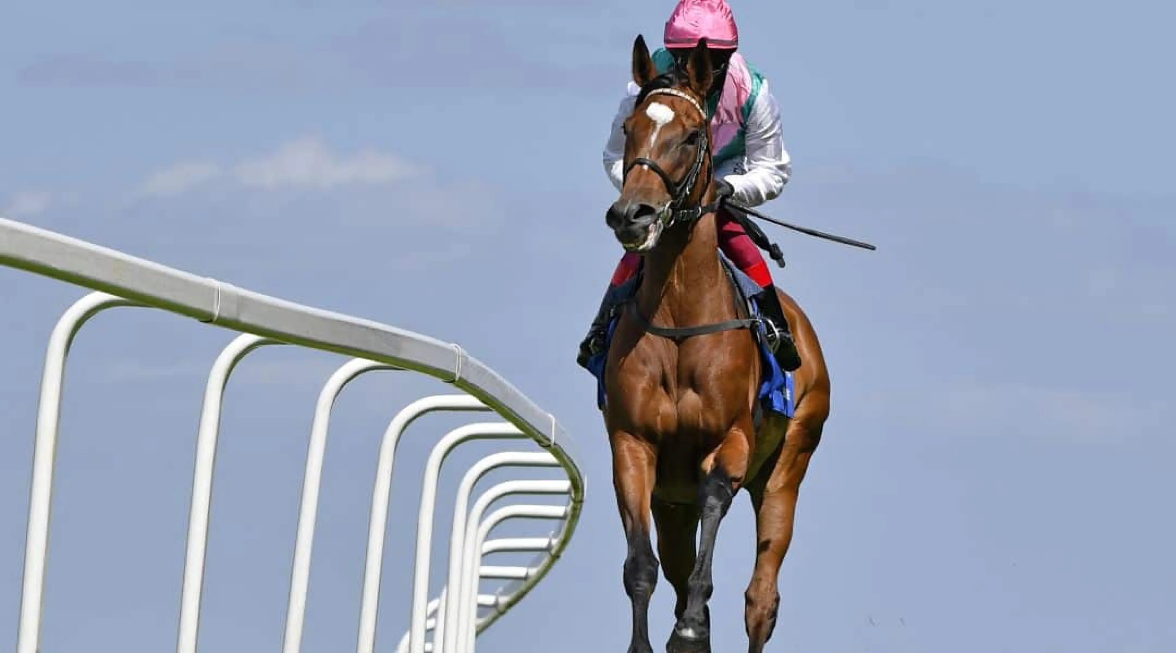 Enable