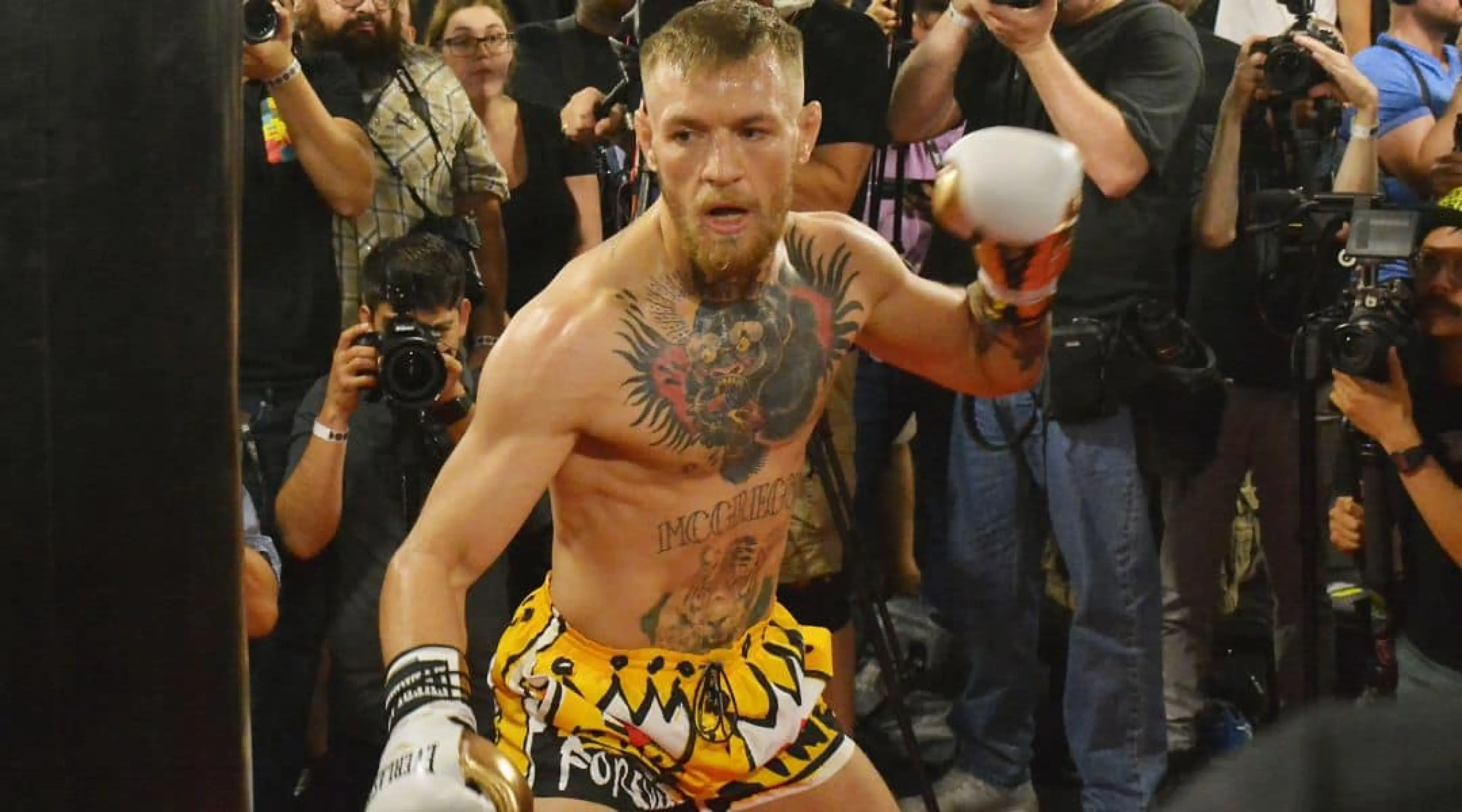 Conor McGregor odds