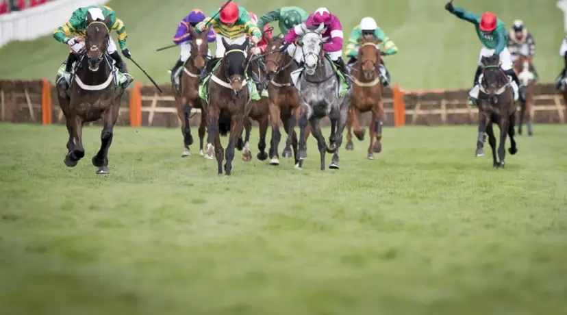Buveur D'Air - Aintree Hurdle odds Ladbrokes