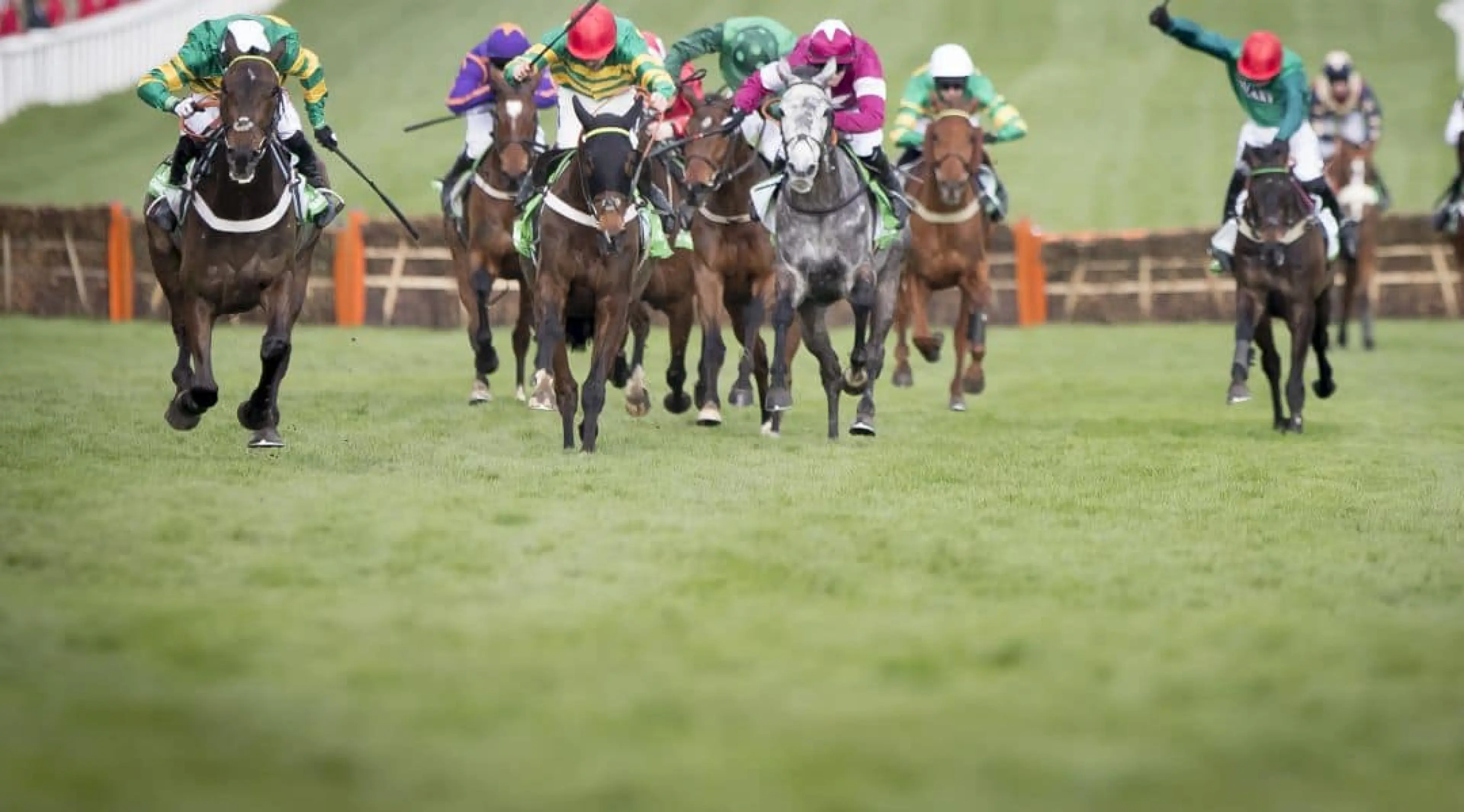 Buveur D'Air - Aintree Hurdle odds Ladbrokes