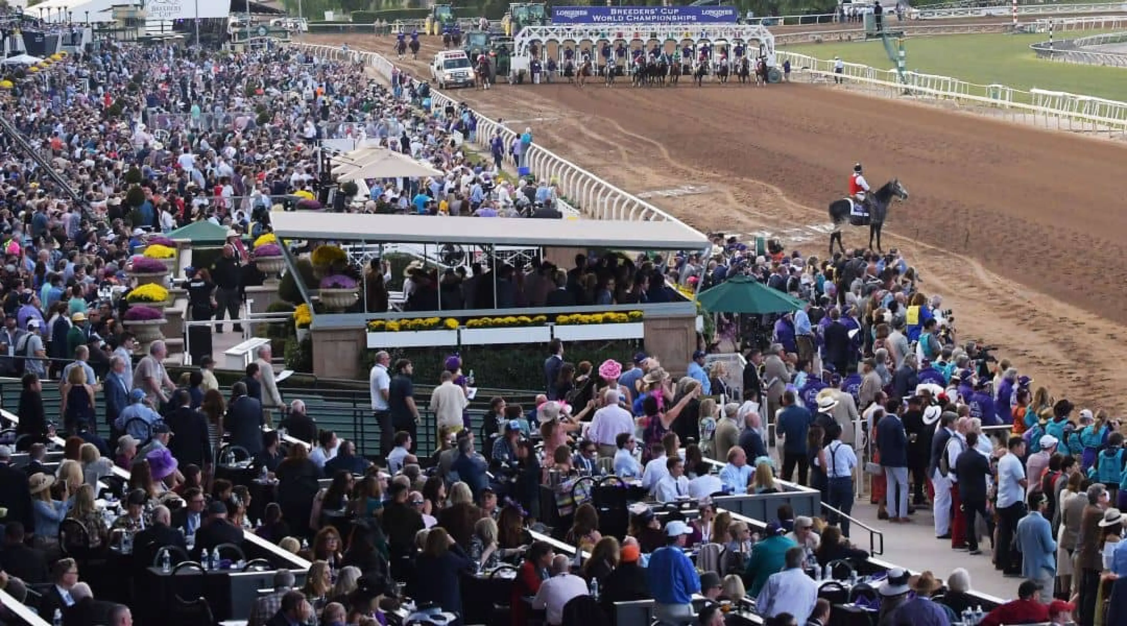 Santa Anita