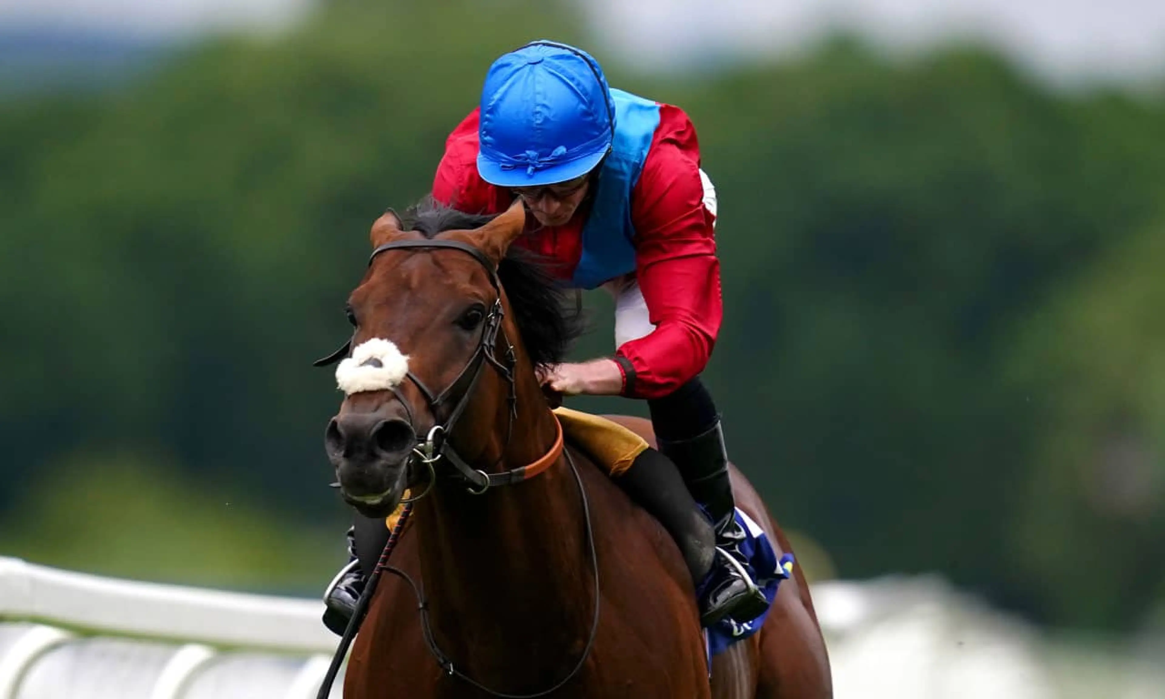 Bay Bridge, Ryan Moore, Royal Ascot Day Two tips