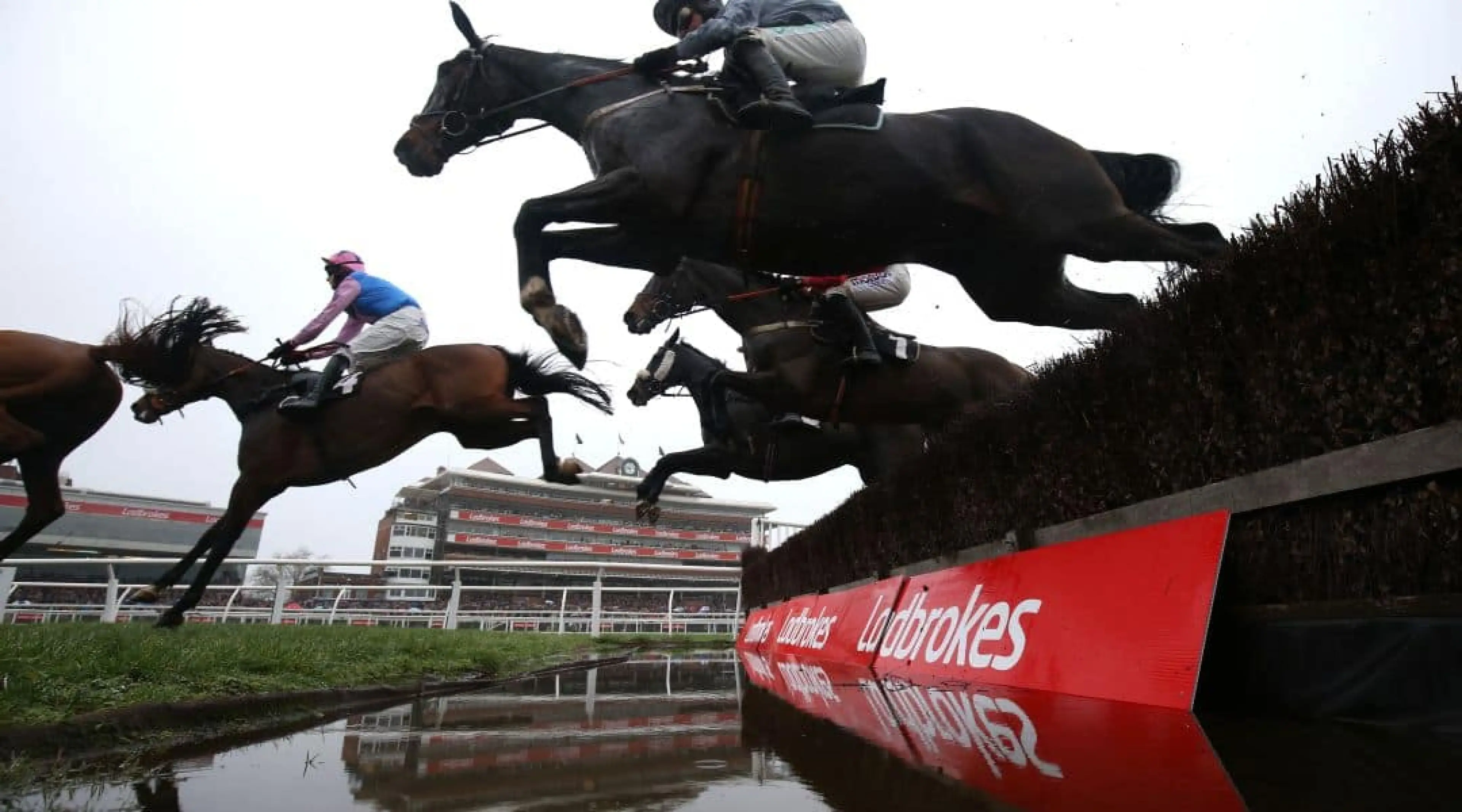 Santini, Cheltenham Gold Cup