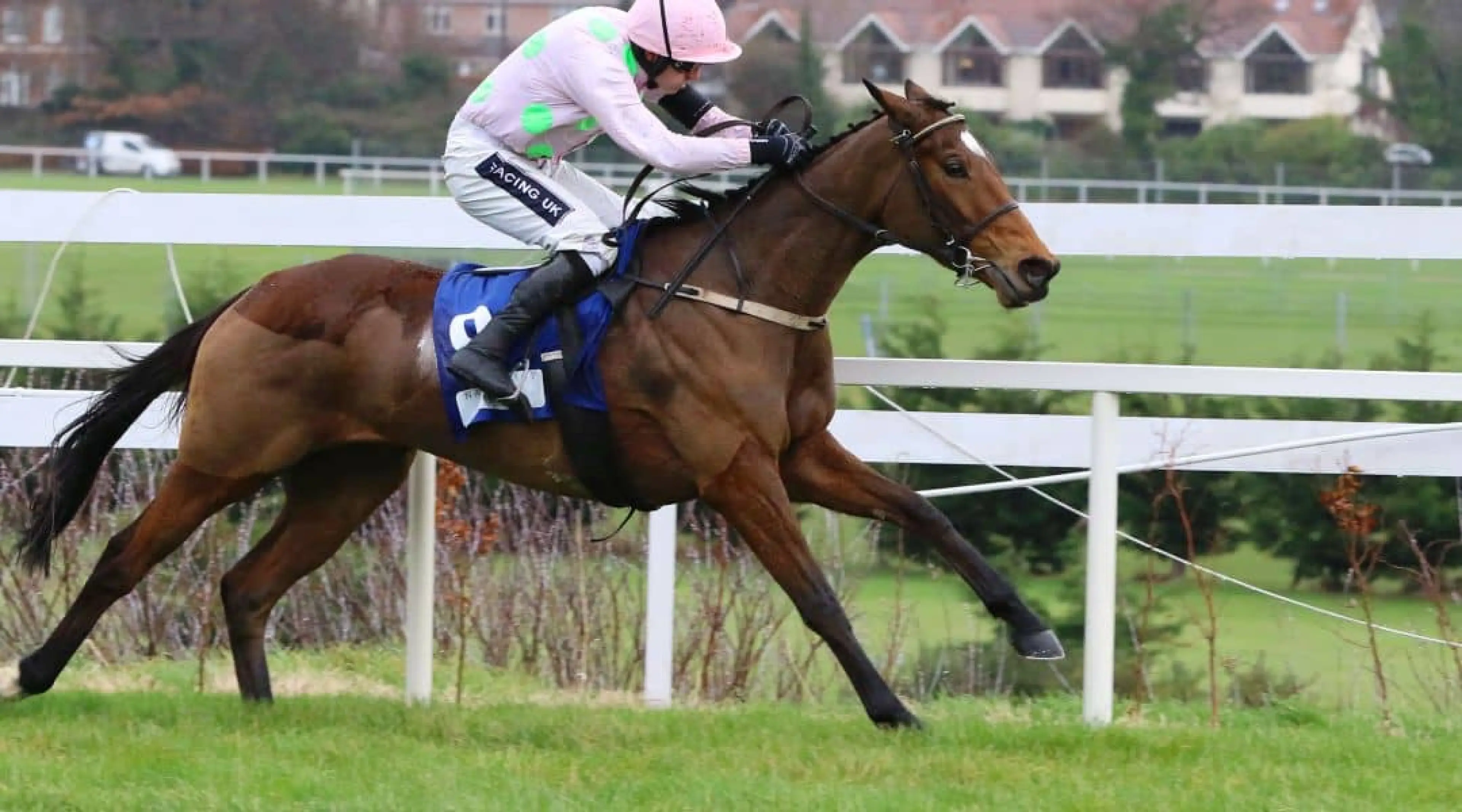Let's Dance - Cheltenham odds