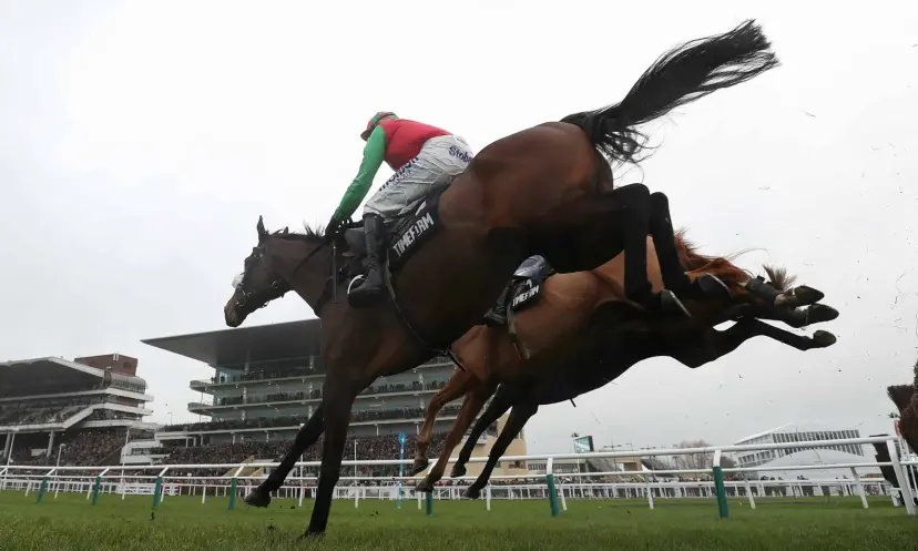 Spiritofthegames, Dan Skelton