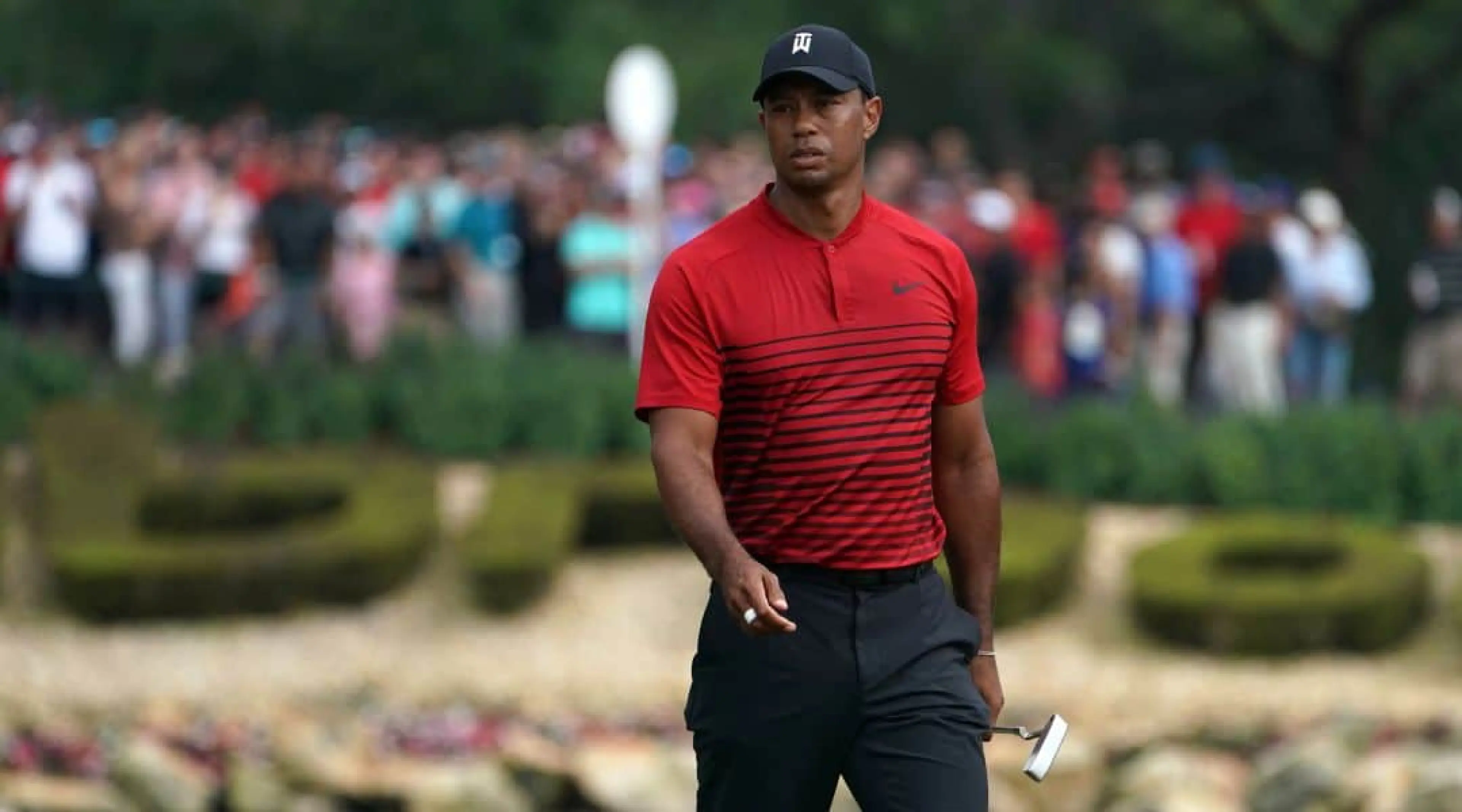 Tiger Woods odds