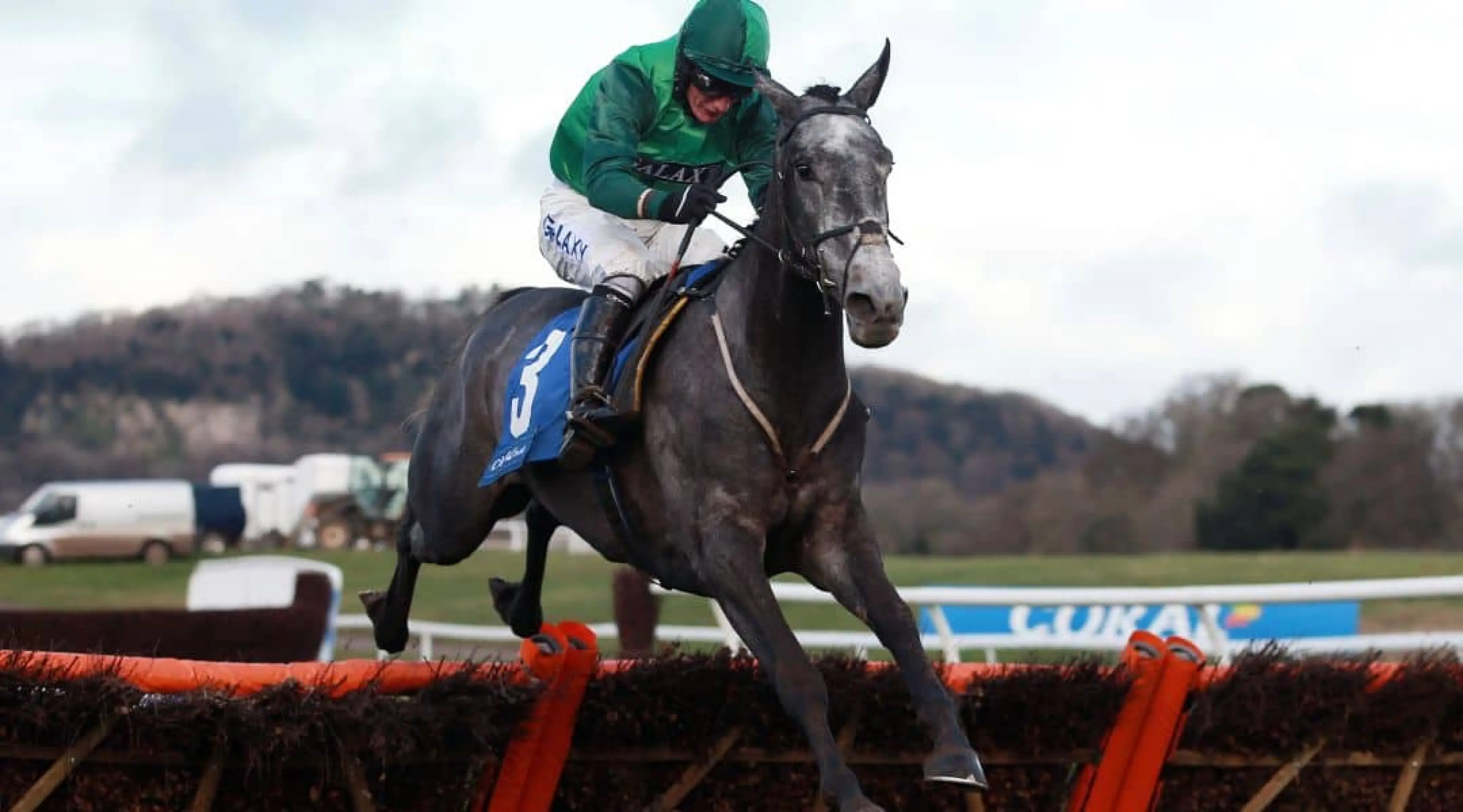 Betfair Chase odds, Bristol De Mai odds