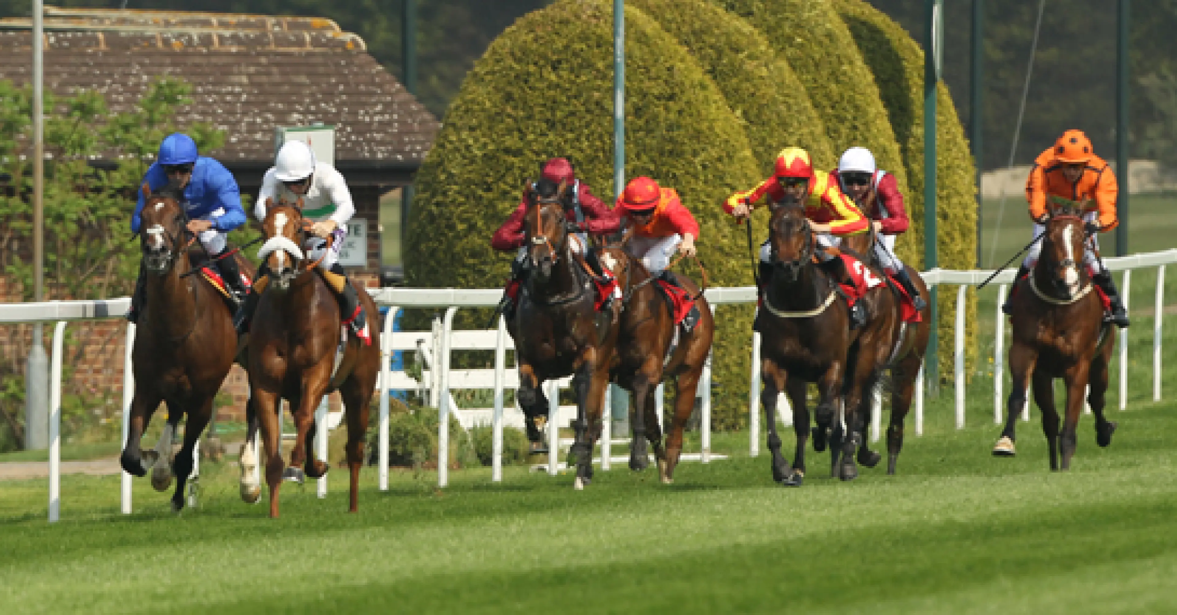 Sandown horse racing
