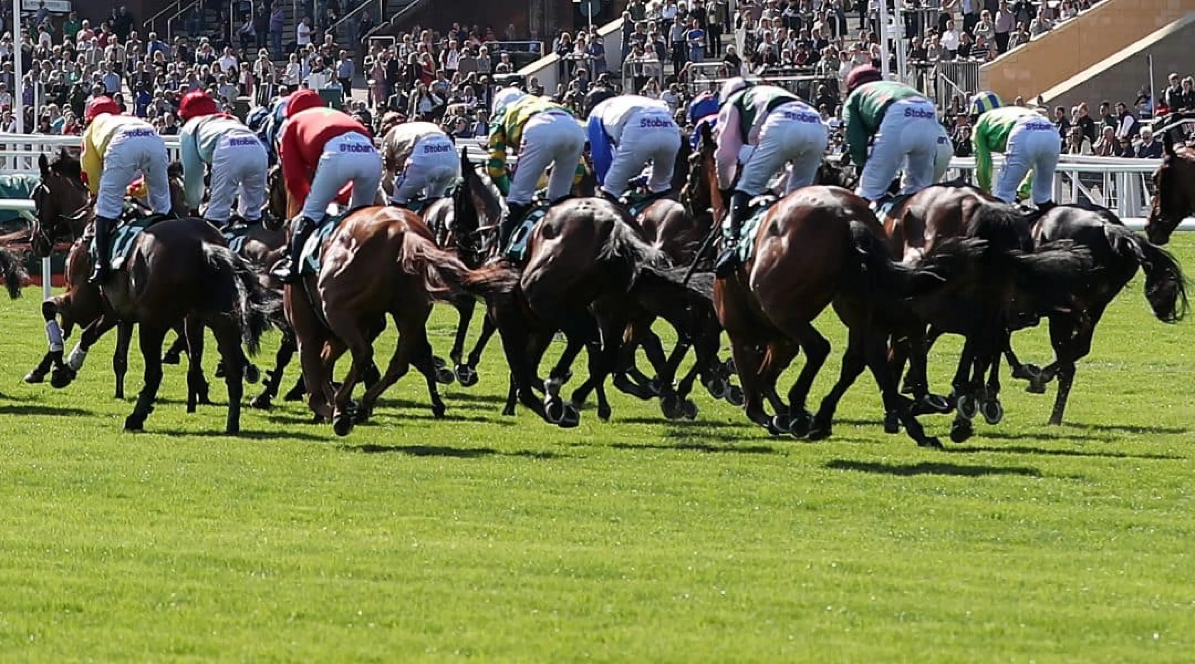 Cheltenham Festival Grandstand