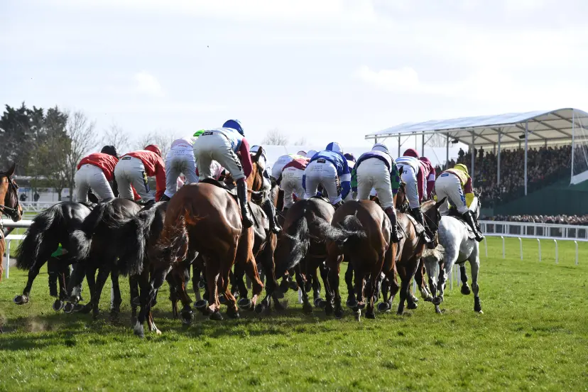 Cheltenham festival