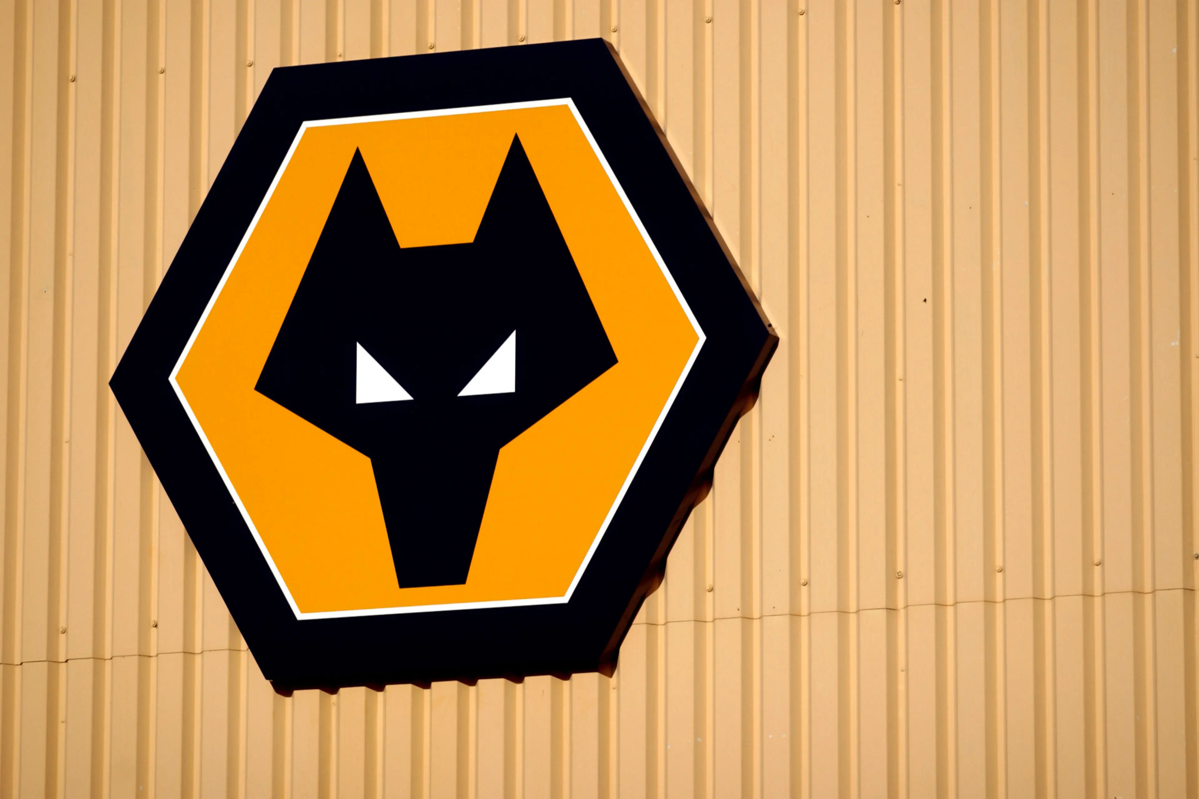 Wolverhampton Wanderers FC, Wolves